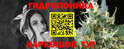 ECSTASY Гусь-Хрустальный