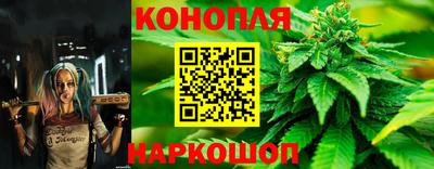 ECSTASY Гусь-Хрустальный