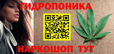 apvp Гусев