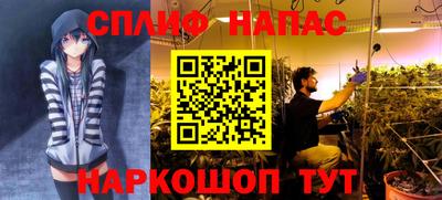 apvp Гусев