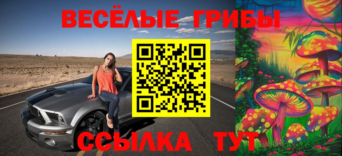 Петровск  Галлюциногенные грибы мицелий  Вход с VPN  Галлюциногенные грибы Psilocybe 